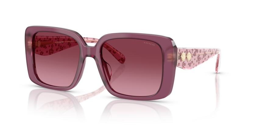 Coach HC8424U Cad54 Sunglasses