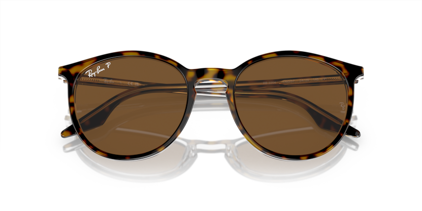 Ray-Ban RB2204  Sunglasses