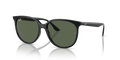 Ray-Ban RB4378F  Sunglasses