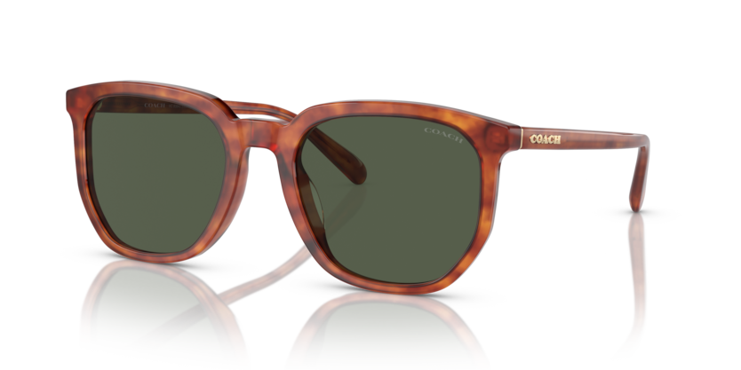 Coach HC8384U Cl911 Sunglasses