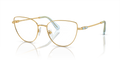 Swarovski SK1007  Eyeglasses