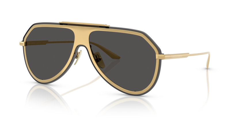 Dolce & Gabbana DG2309  Sunglasses