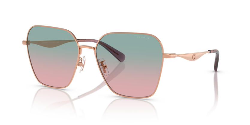 Coach HC7168 Cw189 Sunglasses
