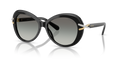 Swarovski SK6026  Sunglasses