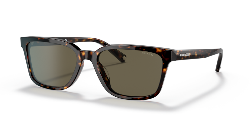 Coach HC8328U C6196 Sunglasses
