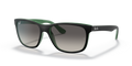 Ray-Ban RB4181 Rb4181 Sunglasses