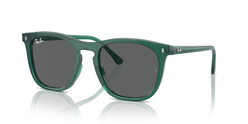Ray-Ban RB2210F  Sunglasses