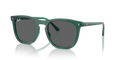 Ray-Ban RB2210F  Sunglasses