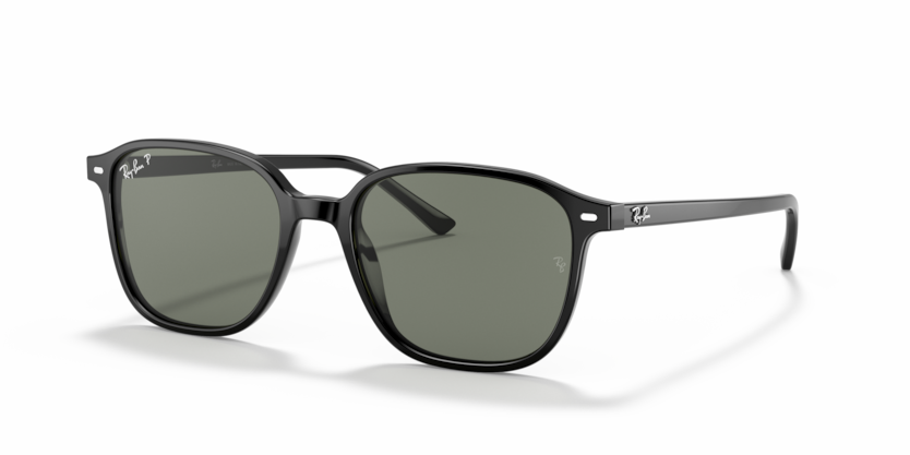 Ray-Ban RB2193F Leonard Sunglasses