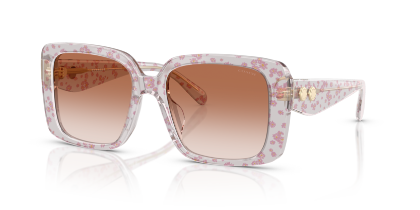 Coach HC8424U Cad54 Sunglasses
