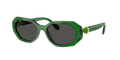 Swarovski SK6028F  Sunglasses