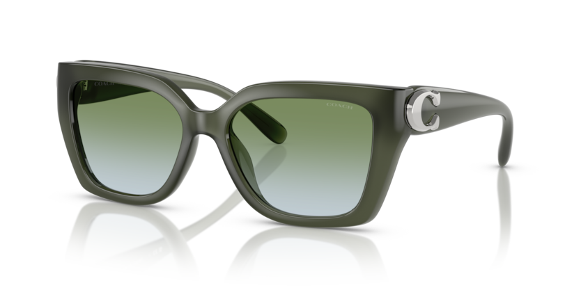 Coach HC8408U Cw195 Sunglasses