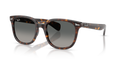 Ray-Ban RB2235 Brunel Ii Sunglasses