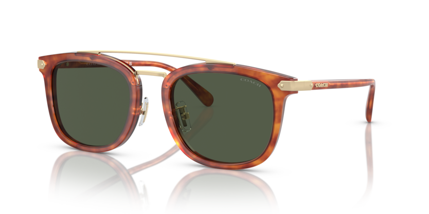 Coach HC8382 Cl913 Sunglasses