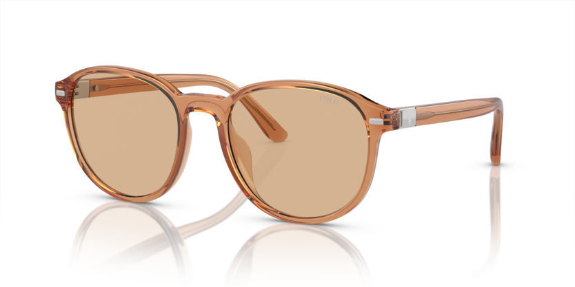 Polo PH4207U  Sunglasses
