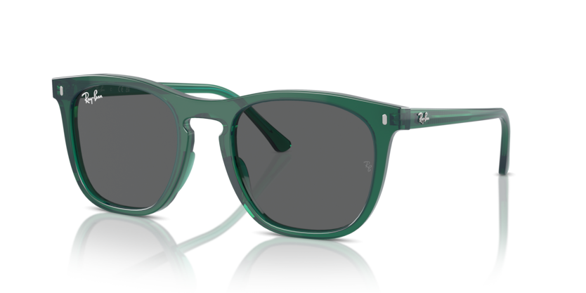 Ray-Ban RB2210  Sunglasses