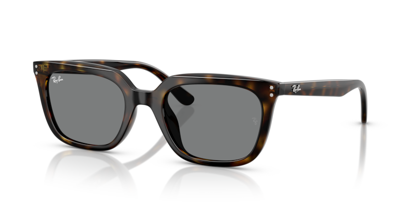 Ray-Ban RB4439D  Sunglasses