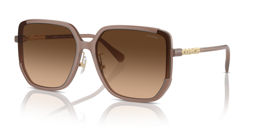 Coach HC8401D Cr635 Sunglasses