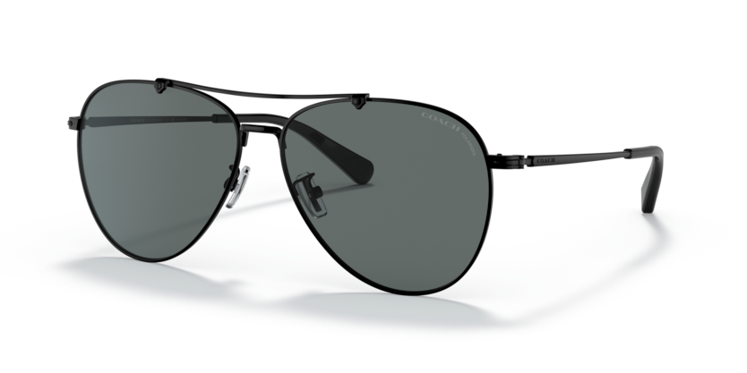 Coach HC7136 Ca575 Sunglasses