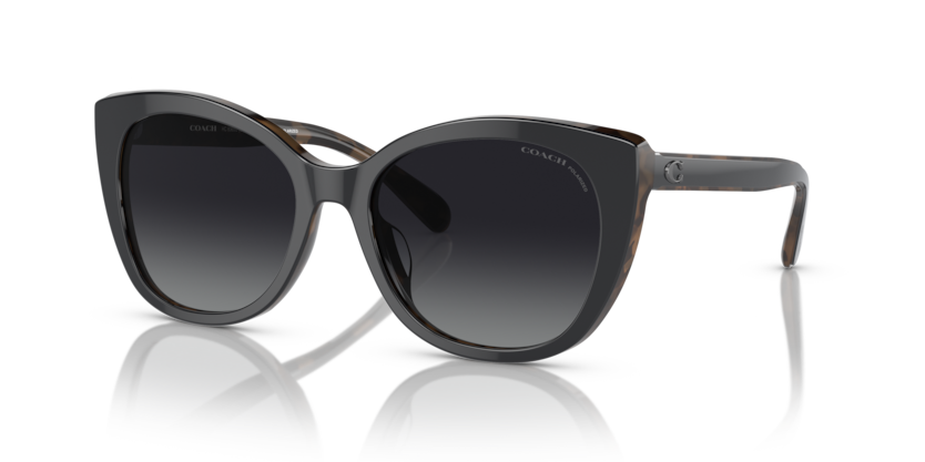 Coach HC8365U Ch566 Sunglasses