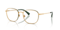 Polo PH1242  Eyeglasses