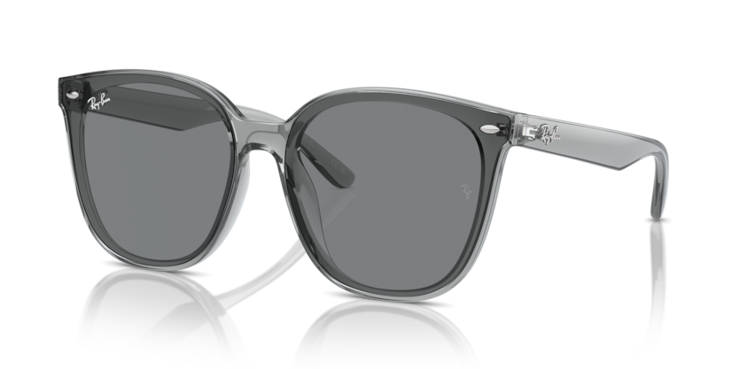 Ray-Ban RB4423D  Sunglasses