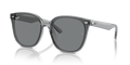 Ray-Ban RB4423D  Sunglasses