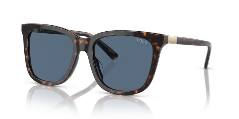 Polo PH4201U  Sunglasses