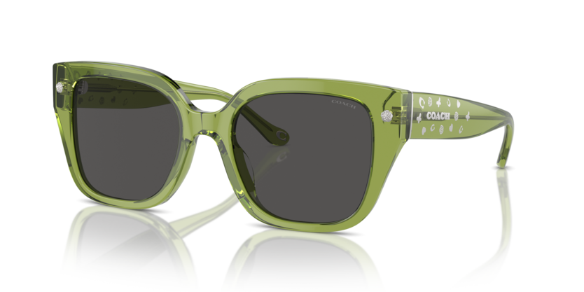 Coach HC8392U Cr611 Sunglasses
