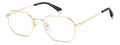 Polaroid PLD D631/G Eyeglasses