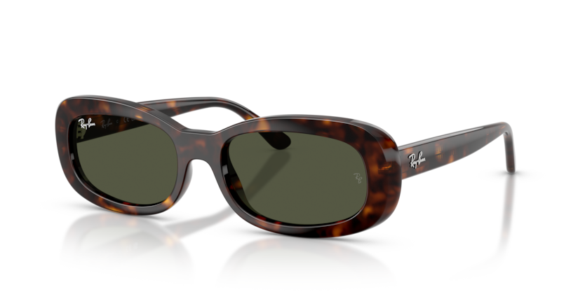 Ray-Ban RB2221  Sunglasses