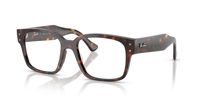 Ray-Ban Vista RX7256 Laurene Eyeglasses