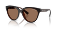 Armani Exchange AX4148SU  Sunglasses