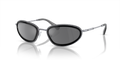 Swarovski SK7004  Sunglasses