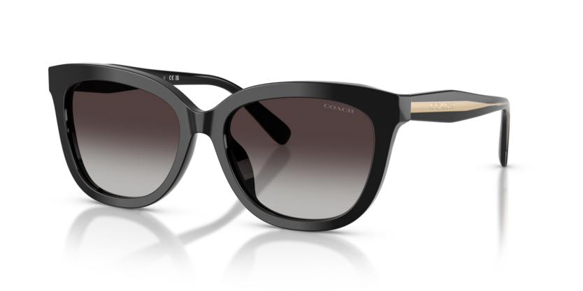 Coach HC8453U Cdp53 Sunglasses
