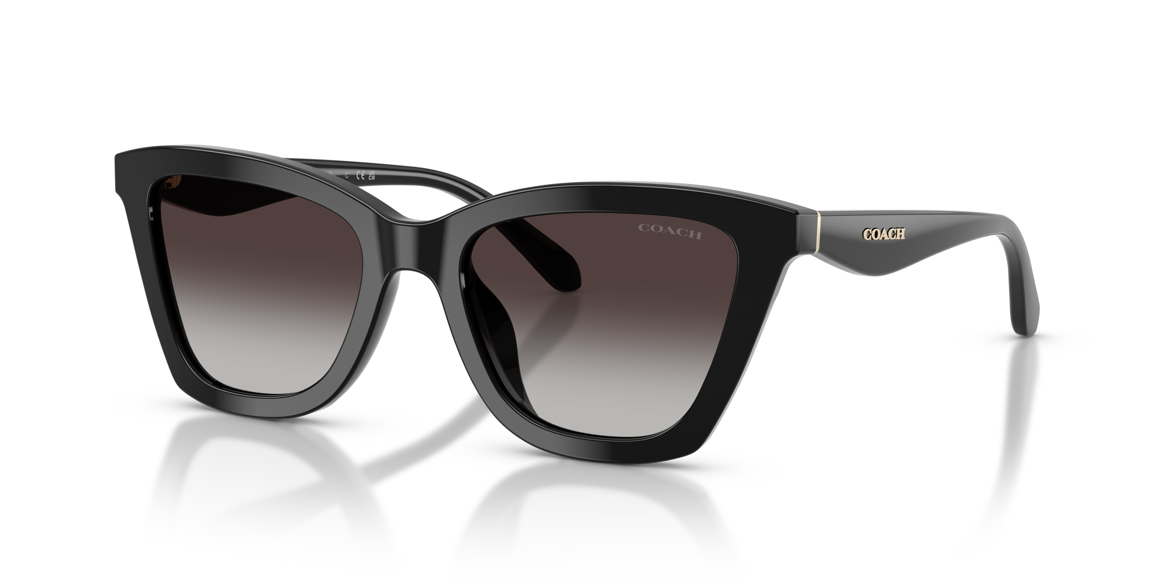 Coach HC8464U Cfu10 Sunglasses