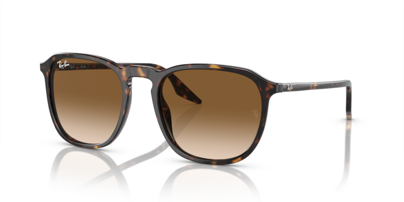 Ray-Ban RB2203  Sunglasses