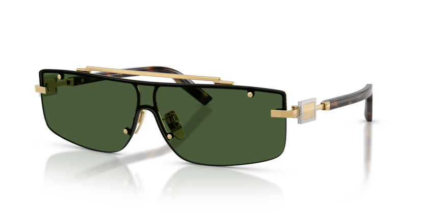 Dolce & Gabbana DG2335  Sunglasses