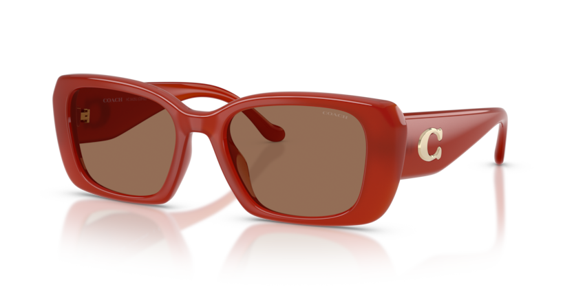 Coach HC8435U Cby82 Sunglasses