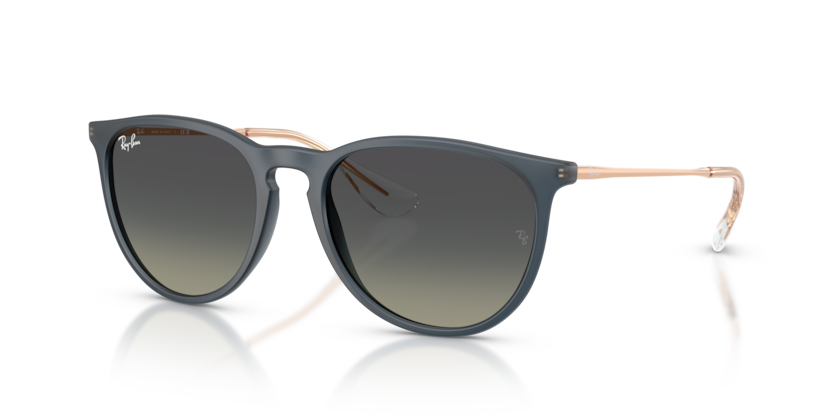 Ray-Ban RB4171 Erika Sunglasses