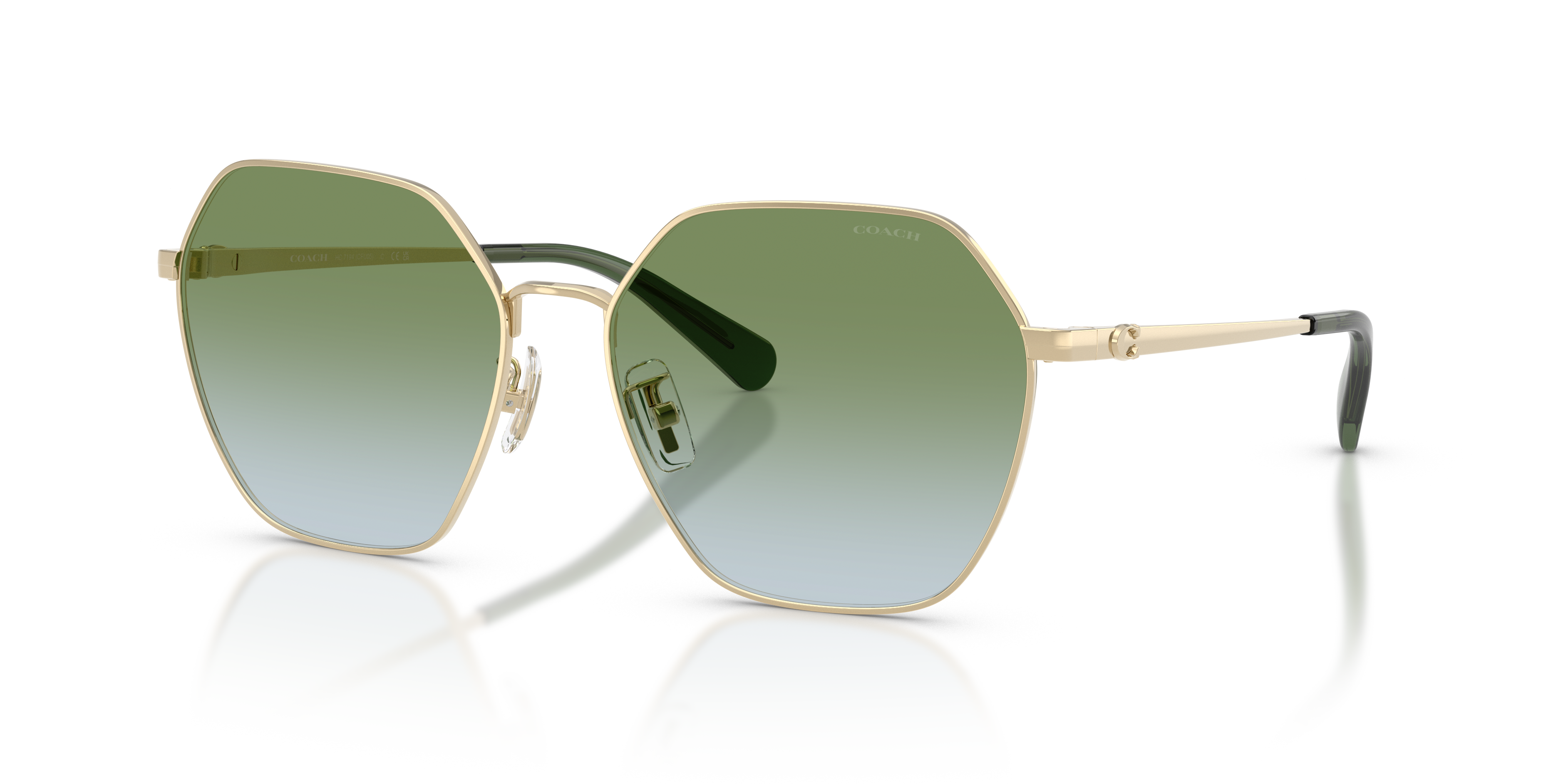 Coach HC7194 Cfu05 Sunglasses
