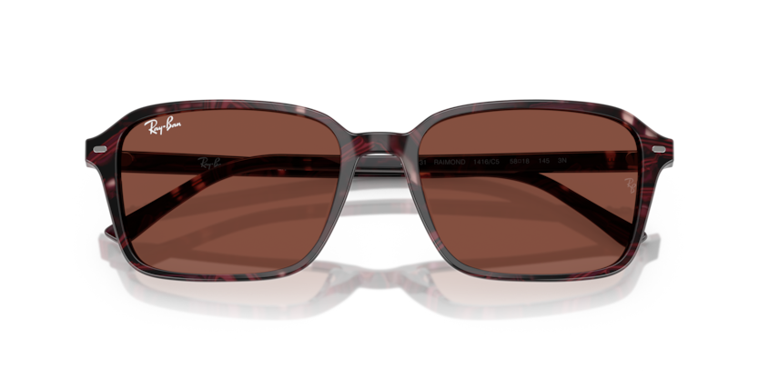 Ray-Ban RB2231 Raimond Sunglasses