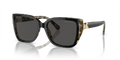 Michael Kors MK2199 Acadia Sunglasses