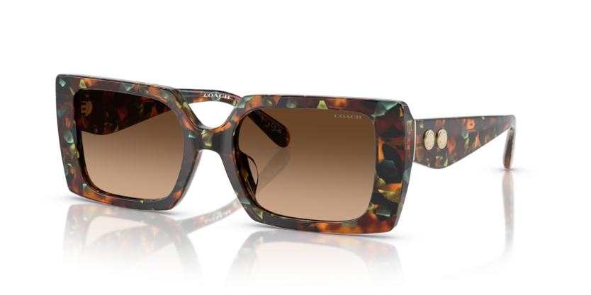 Coach HC8409U Cw224 Sunglasses