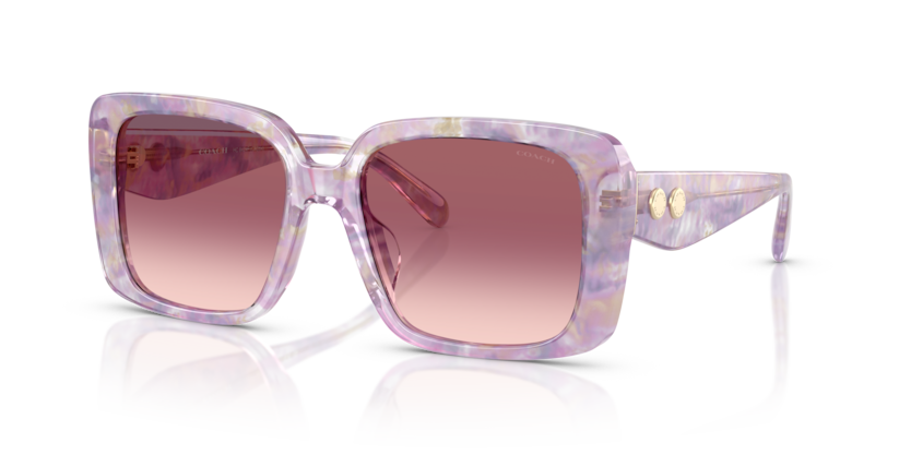 Coach HC8424F Cad55 Sunglasses