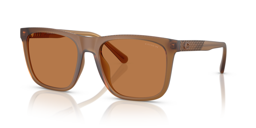 Coach HC8427U Cae78 Sunglasses