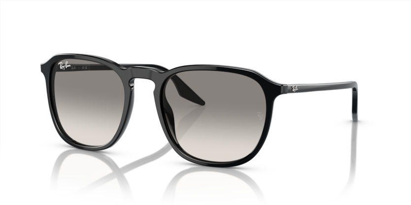 Ray-Ban RB2203  Sunglasses