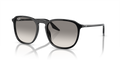 Ray-Ban RB2203  Sunglasses