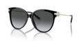 Tiffany TF4193B  Sunglasses