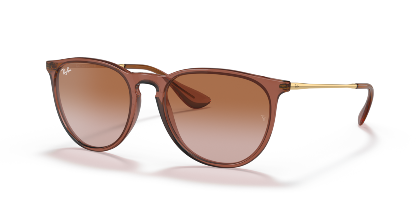 Ray-Ban RB4171 Erika Sunglasses